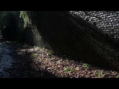 Preview image for the video "Stefan Węgłowski: Contemporary Jewish Music (0015026KAI)". Preview image for the video "Stefan Węgłowski: Contemporary Jewish Music (0015026KAI)".